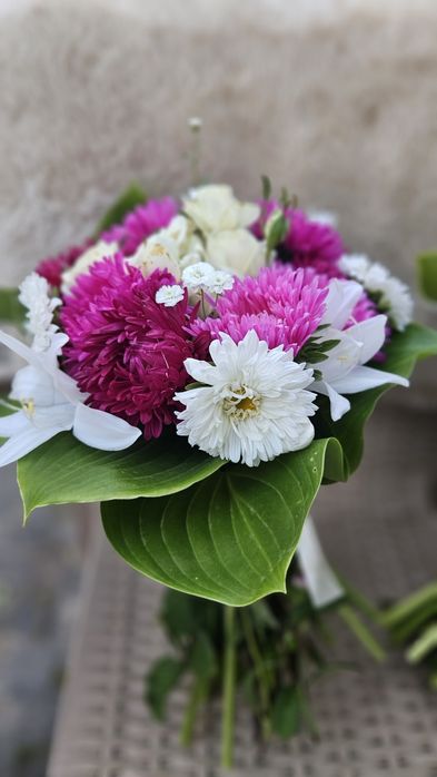 Розсада квітів (айстри, хризантеми, ротики, гіпсофіла, чорнобривці, лаванда)