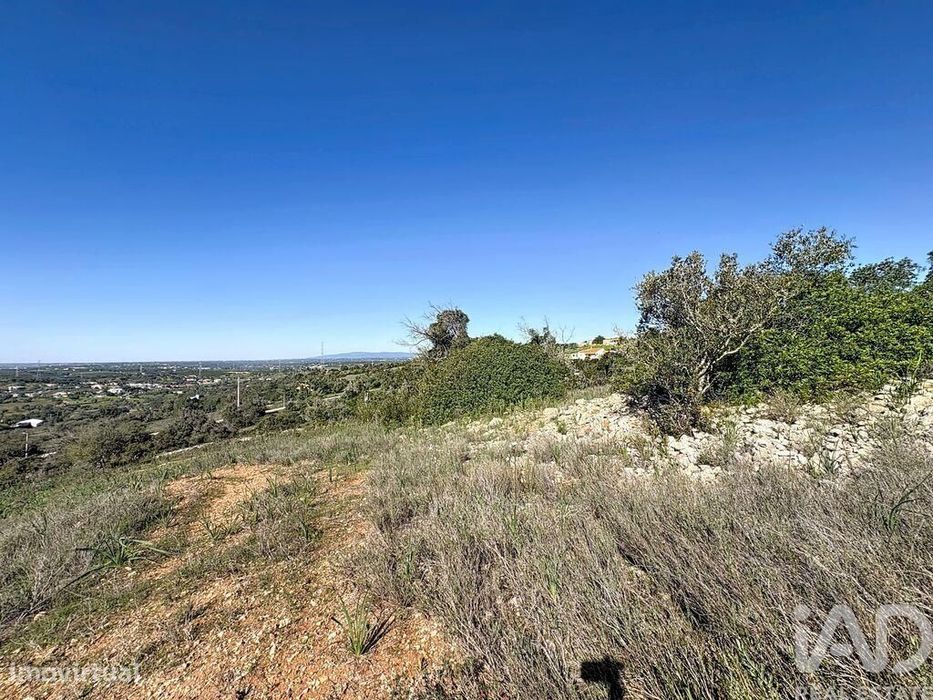 Terreno Agrícola em Algoz e Tunes