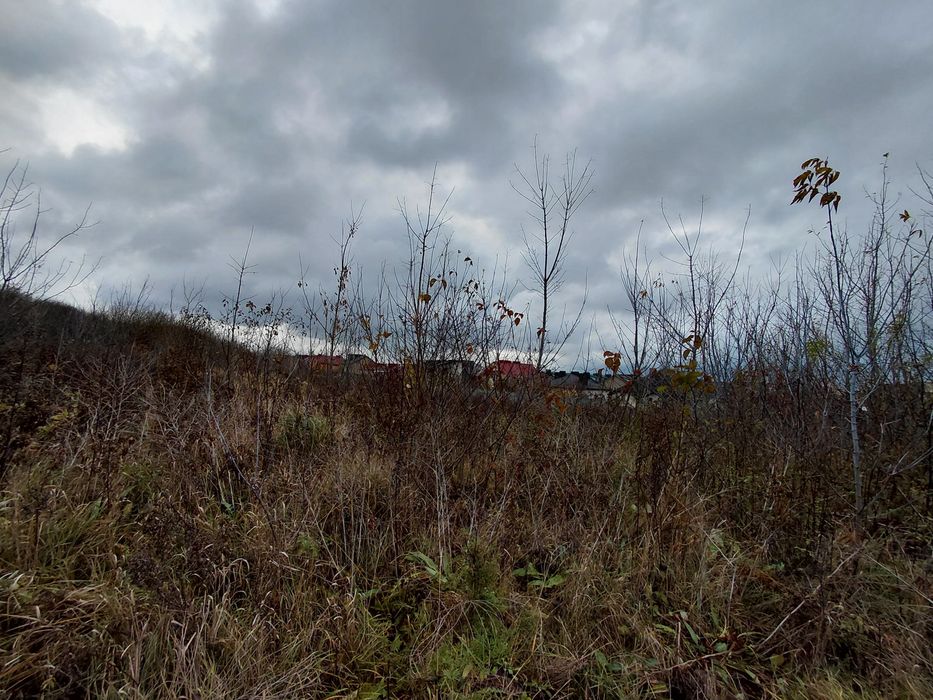 Продається земельна ділянка кленовий гай