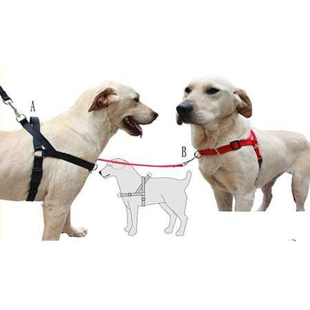 Easy Walk, arnês de manejo com fixação peitoral, peitoral anti puxão