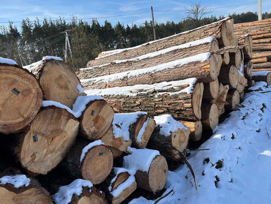 Деревообробне господарство в 50 км від Києва