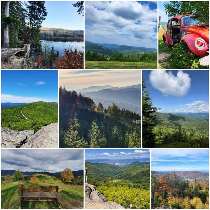 DOM,  APARTAMENT narty Wisła święta BN Sylwester ferie święta domki