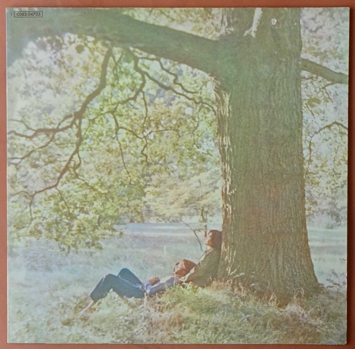 Discos de vinil usados - Pink Floyd, David Bowie, Eagles, etc.