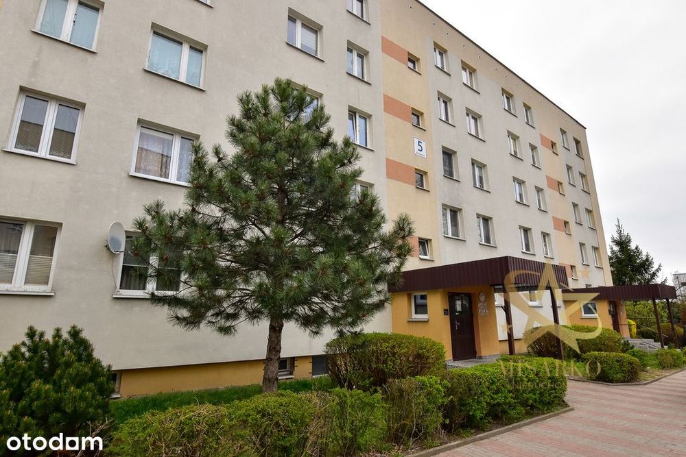 Ul. Dziecinna 60m