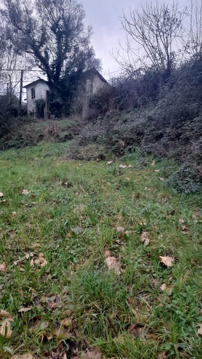 Terreno rustico- celorico de basto
