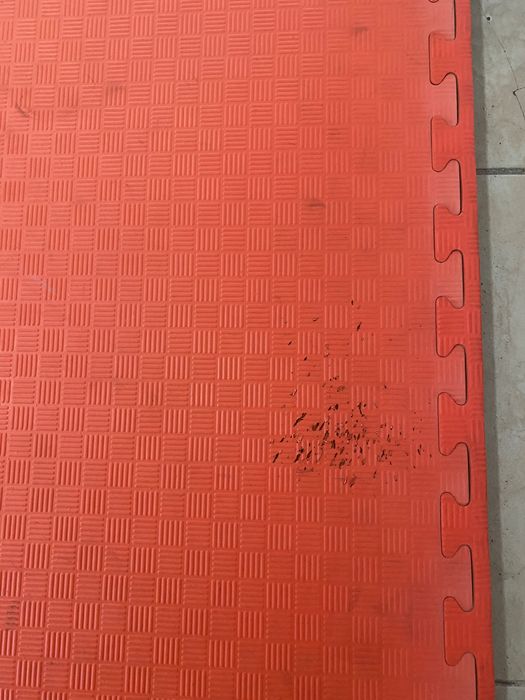 Tatamis em excelente estado/excelente densidade