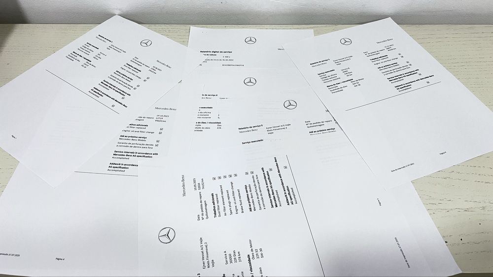 C300 autanomia  eletrico 115