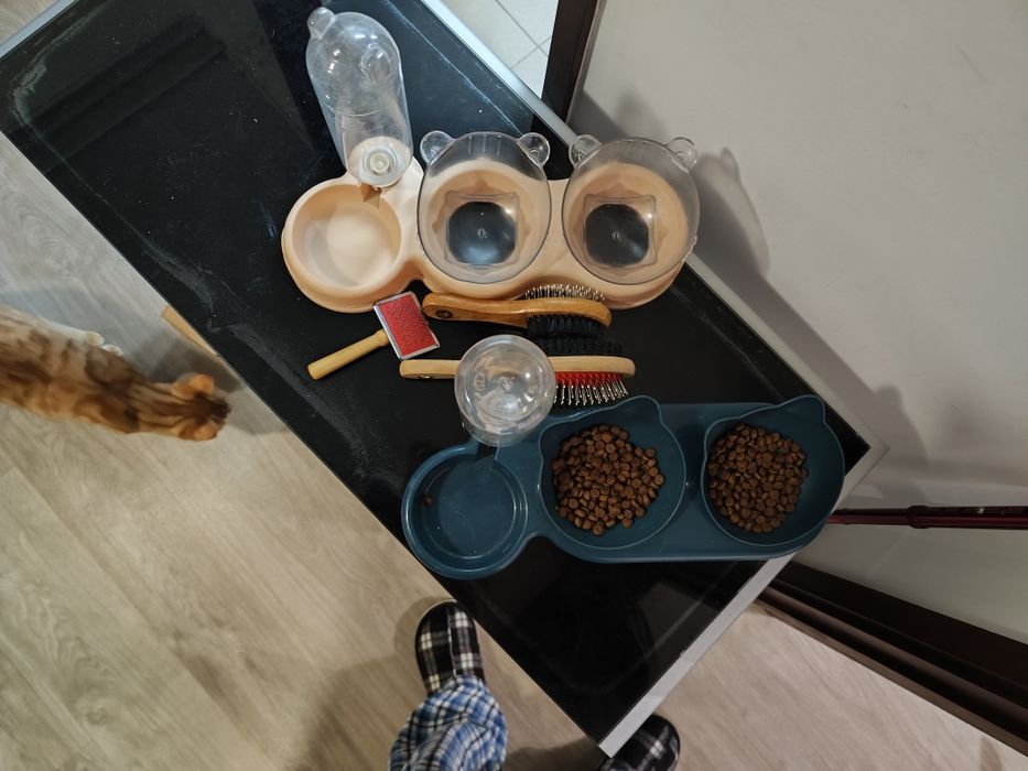 Comedouros gatos e acessorios