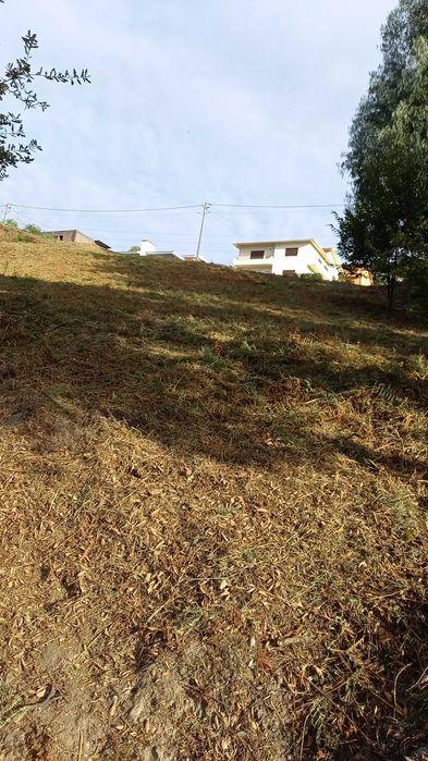 Limpezas de terrenos