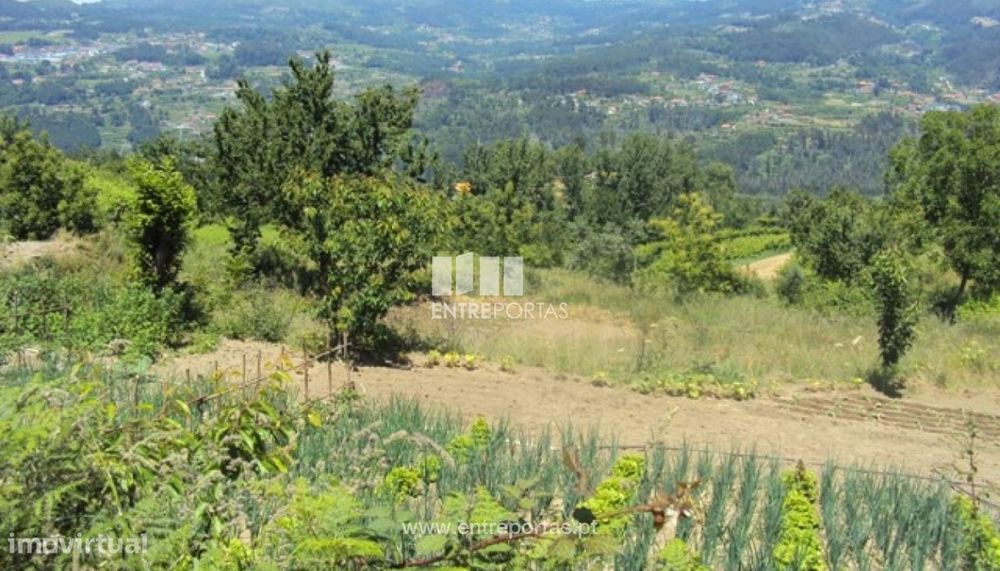Venda Terreno,Tarouquela, Cinfães — Tarouquela, Viseu