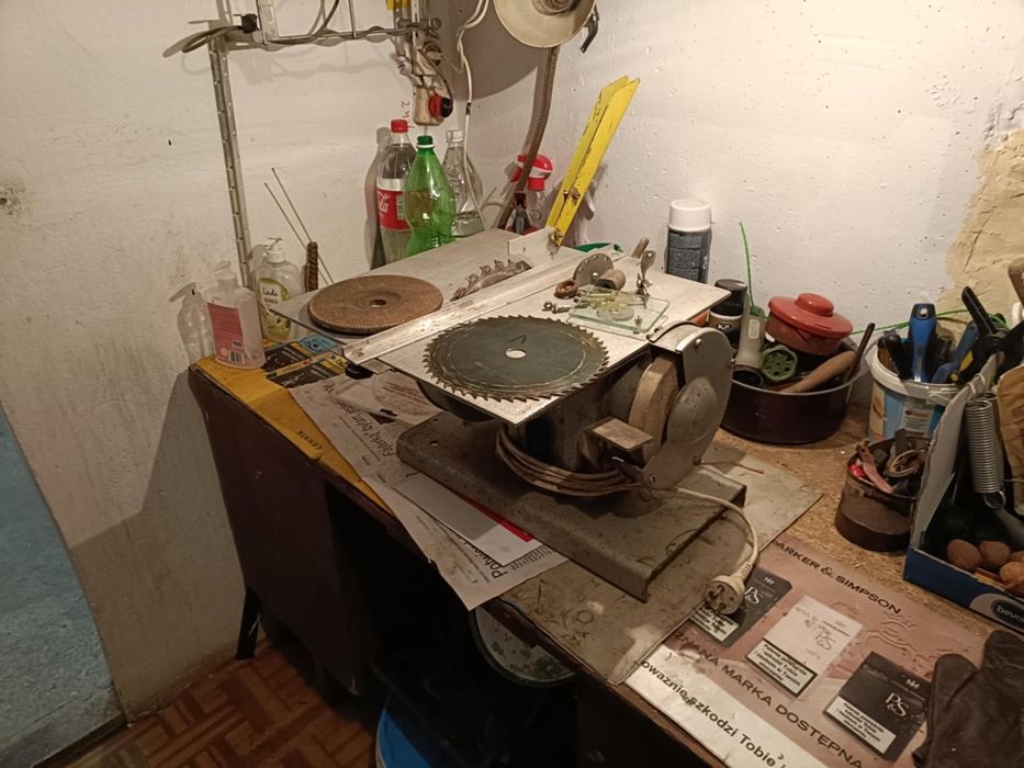 Pilarka tarczowa, krajzega