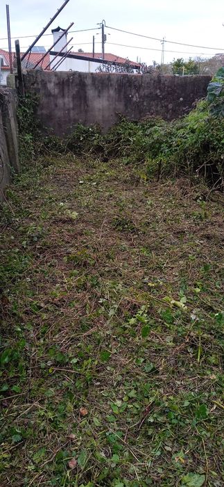 Limpeza de terrenos e manutenção