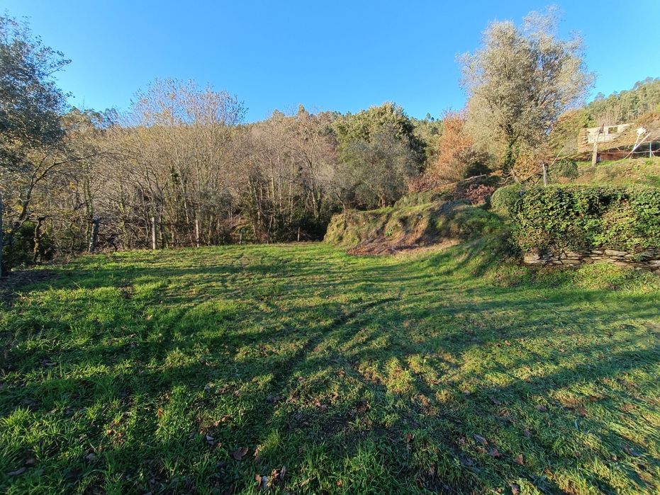 Vende-se Quinta de Oliveiras e Vindimas com 5369.16m2