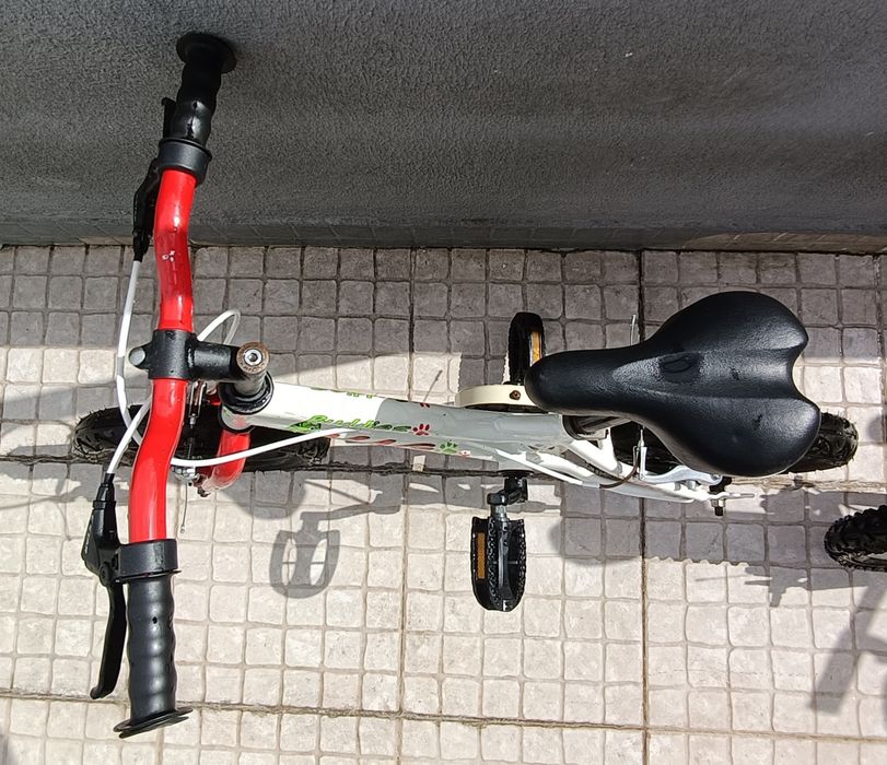 Bicicleta Vag Buddies