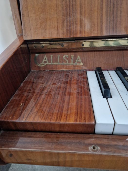 Pianino calisia jasny brąz
