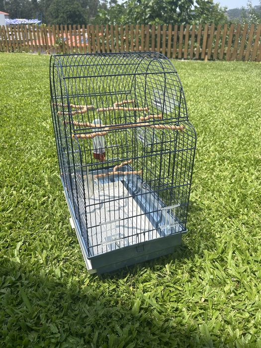 Gaiola grande para pássaros – Em bom estado