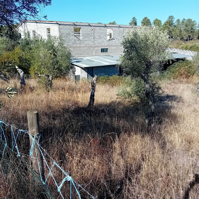 Empresa Agricola c/ 12,5 hecates - Lousa- Castelo Branco