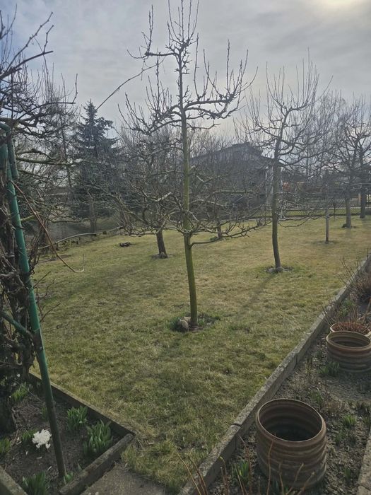Sprzedam działkę ROD ul. Stanisława chudoby ( koło starej straży poż.) - Widok 2