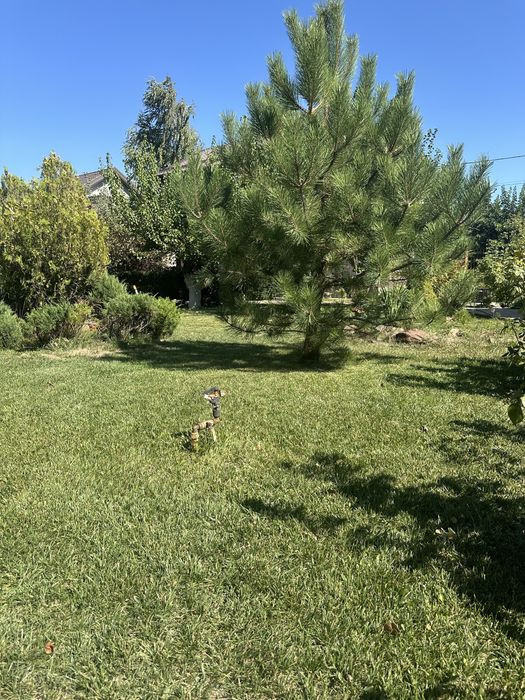 Дом на реке ( новоселовка )