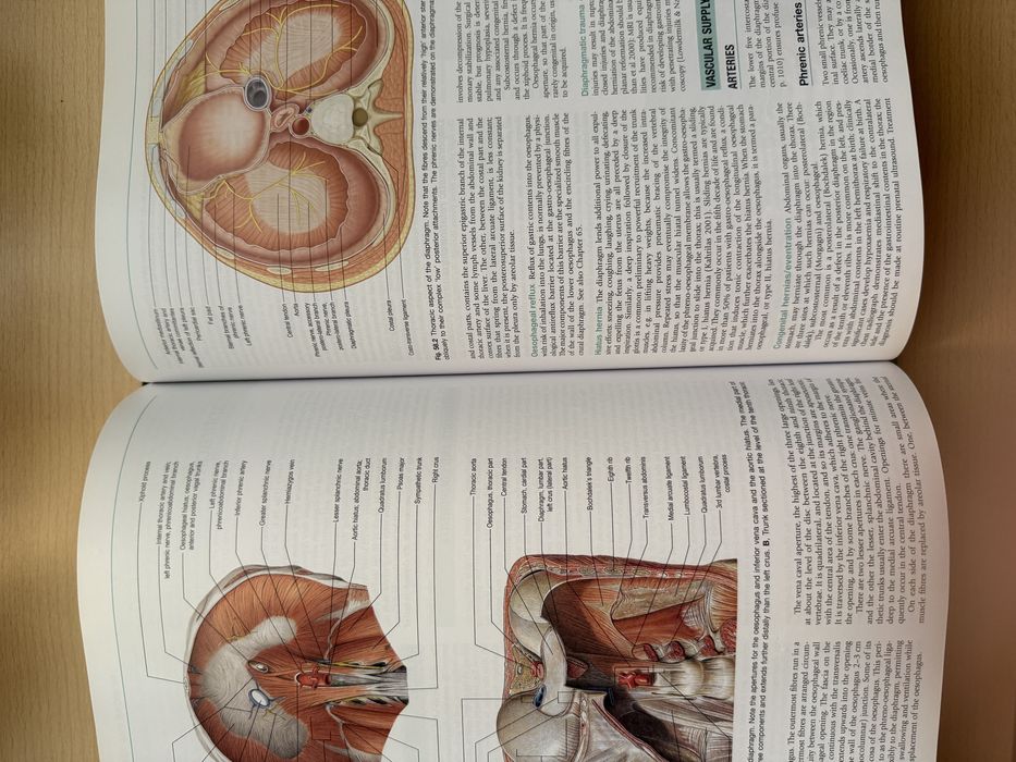 Livro GRAY’S Anatomy
