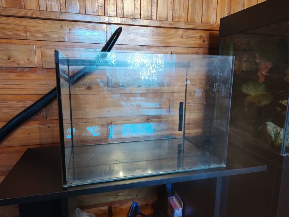 Akwarium dla chomika