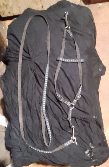 Продам шлейку для собак или кошек