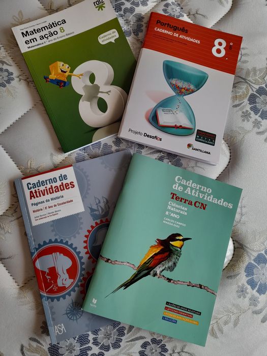 Cadernos de Actividades do 8 ano