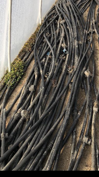 Zraszacze do nawadniania