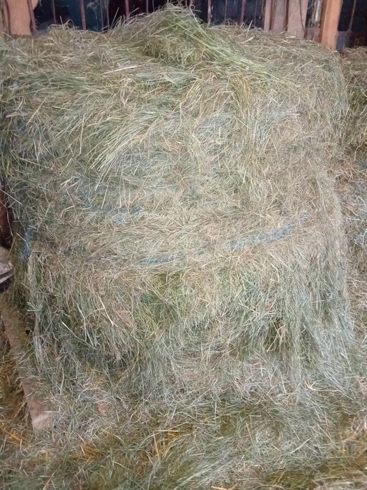 Witam sprzedam siano