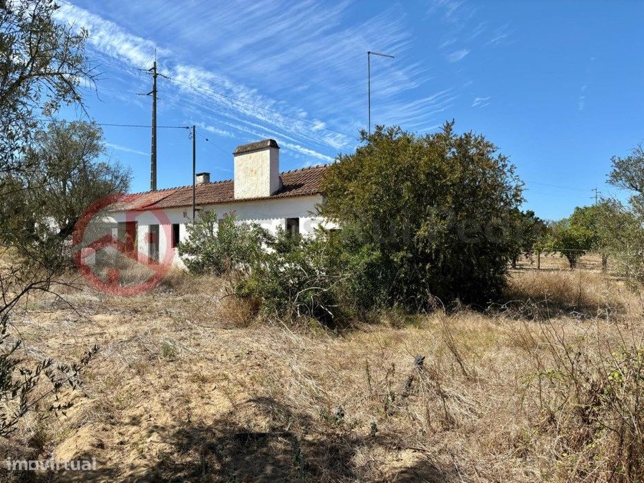 Quinta com moradia isolada e olival, no Couço, Coruche