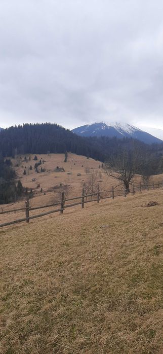 Від власника земельна ділянка в с.Дземброня.