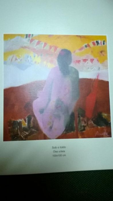 Livro Júlio Resende (colecção GOA.)