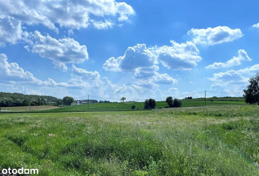 Działka budowlana 10 min od Krakowa - Widok 5