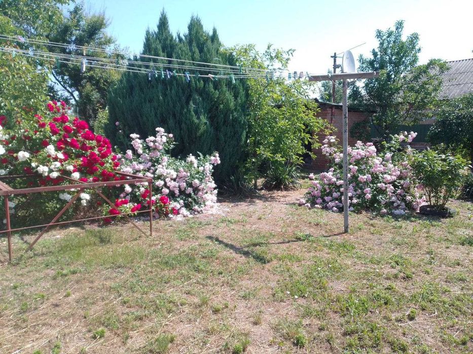 Продається будинок 70 кв.м Димер, Вишгородський р-н, Київс. обл