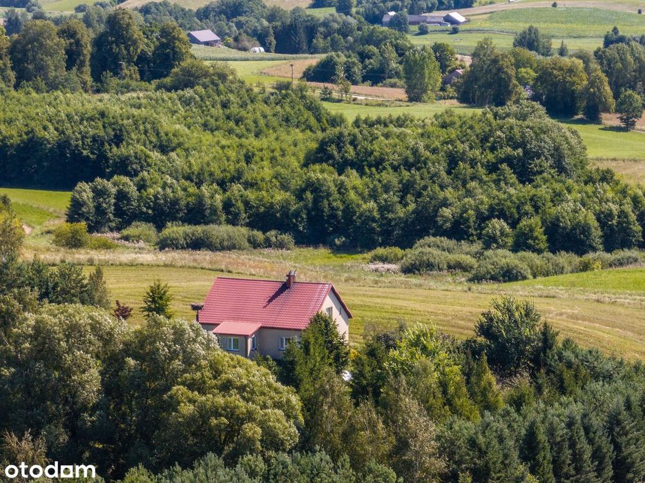 Dom – Dębowo - Widok 2