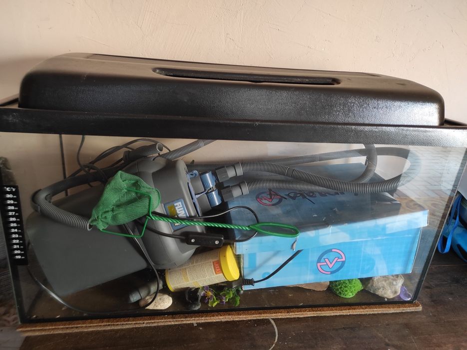 Akwarium z całym wyposażeniem komplet wszystko w cenie