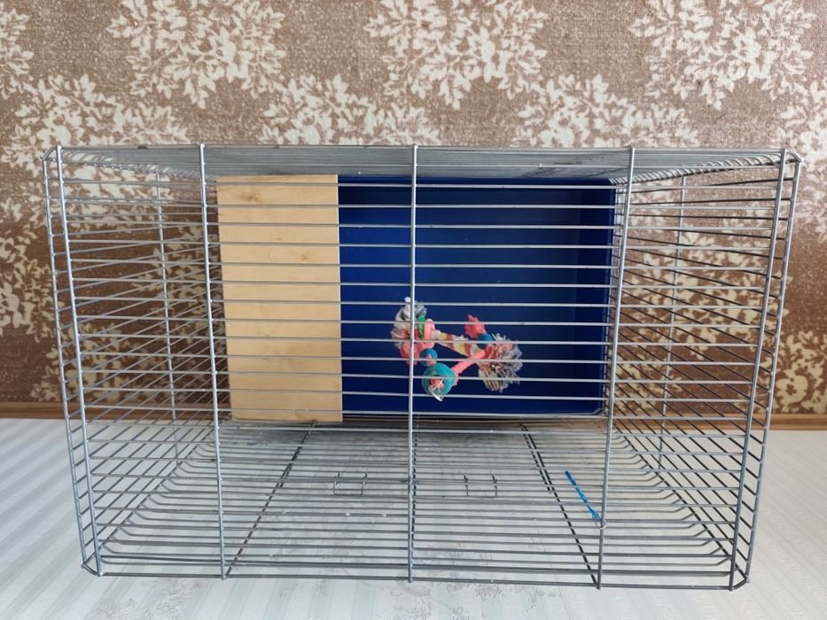 Клетка для грызунов и птиц (65×65 см)