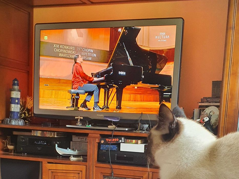 Philips 52" 52PFL9704 Ambilight – sprawny, TV przez dekoder OK