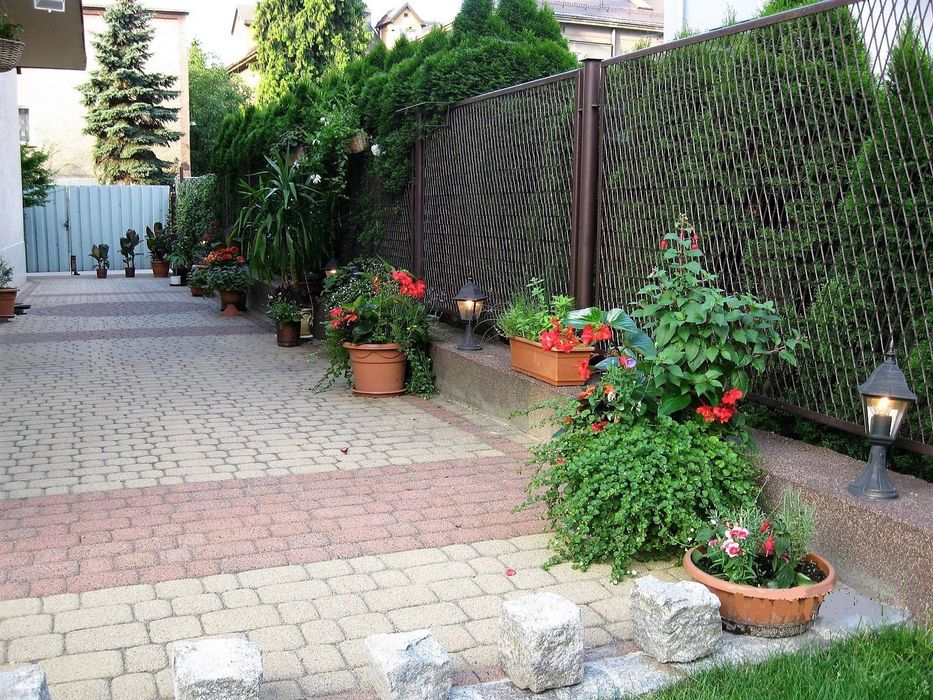 Zdjęcie 6