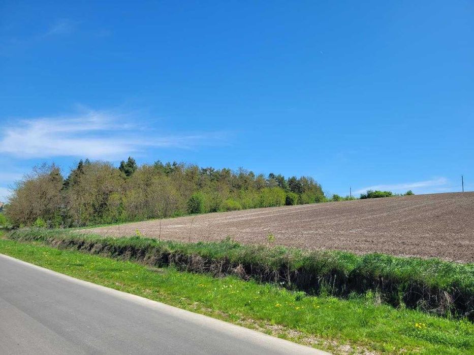 Земля в с.Колодіївка. поруч з с.Вовчинець