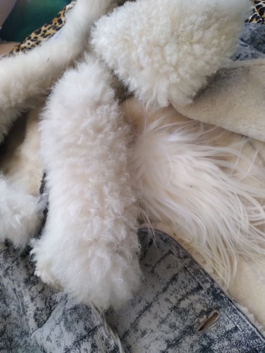 Дублянка натуральна лама стріжена тепла елітна дизайнерська з капюшоно