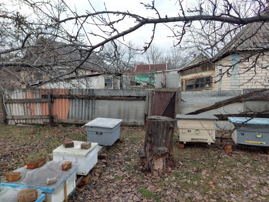 Улики из пенополистирола, ульи пенополистироля, и деревянные вулики