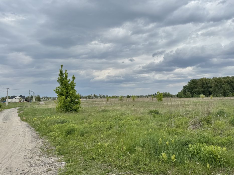 Земельна ділянка фасадна! 3га!! Бориспіль!