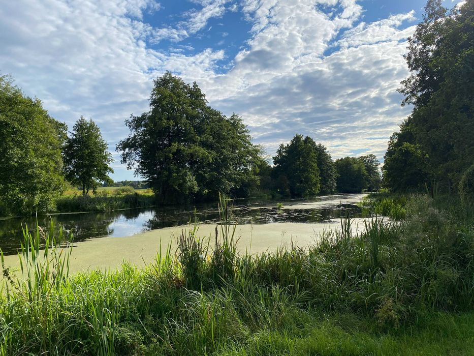 Działki rekreacyjne nad rzeką