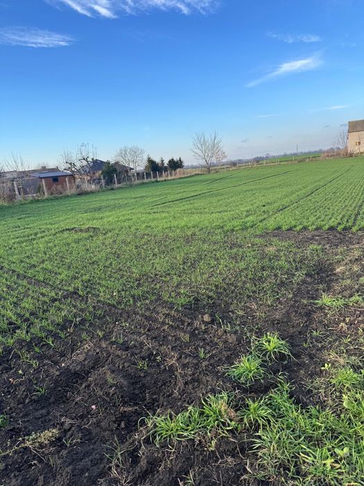 Sprzedam działki Siedliskowe