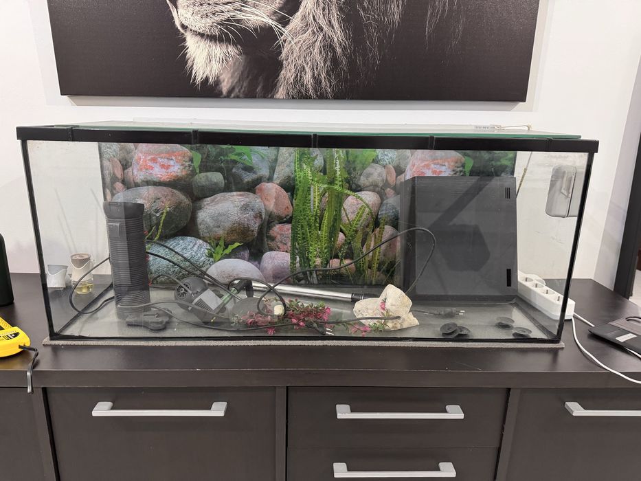 Aquario grande de peixes