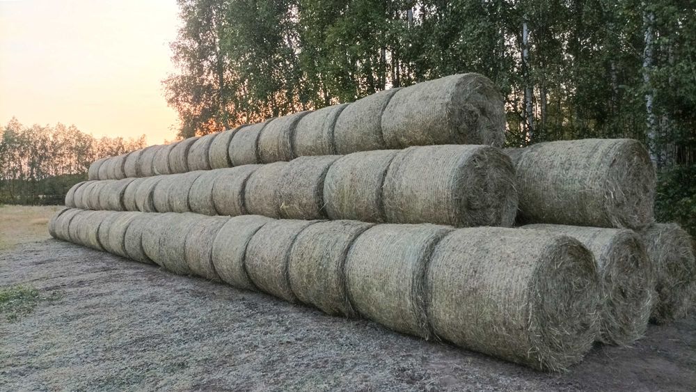 Siano łąkowe idealne dla Twoich zwierząt, baloty 120