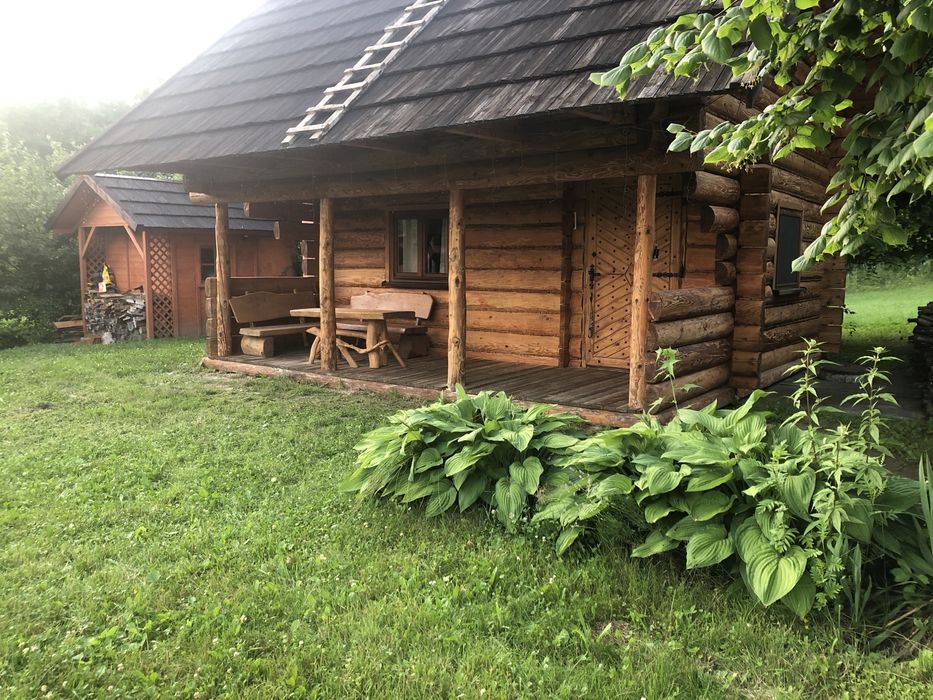 Leśny domek  do wynajęcia