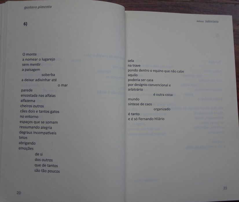 Íntimo Labirinto de Gustavo Pimenta