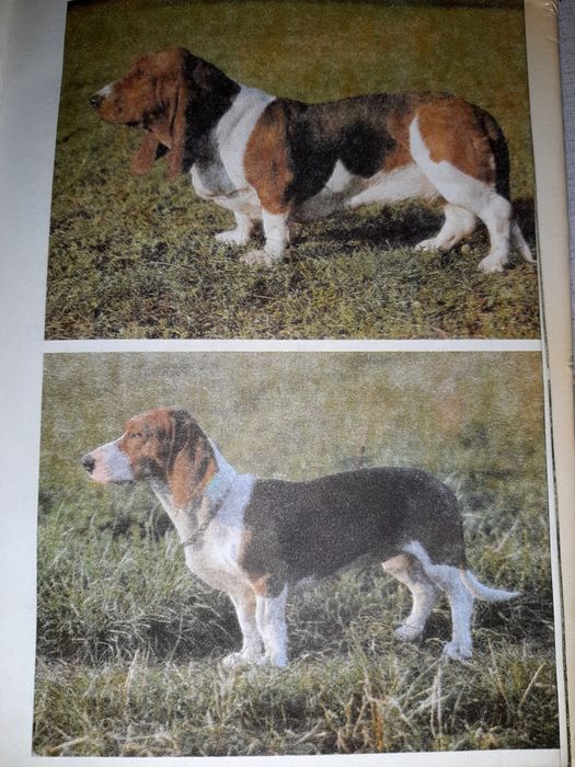 Атлас пород собак